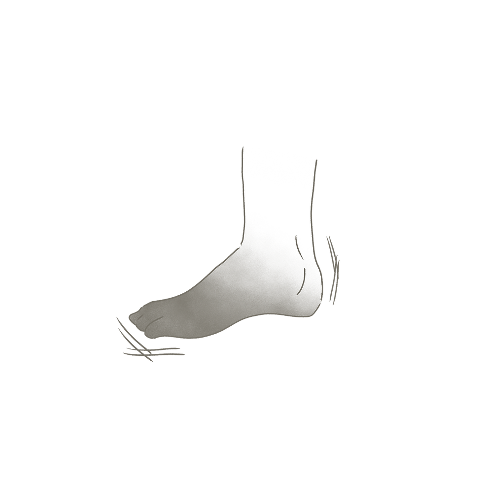 筋膜リリース.png