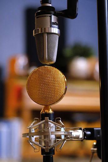 Microphones set up in the live room. Neumann TLM 102 and Cascade FATHEAD