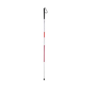 Canes for the Blind
