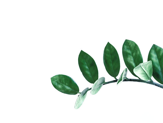 I took the shot at home with Sigma 105 m