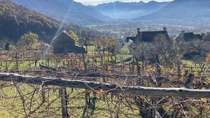 Alto Piemonte - a leap forward