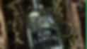 Cia Pisquera - Gin Kantal_EN-11_page-0001.jpg