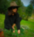 Screen Shot 2023-06-02 at 7.55.16 pm