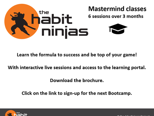 Mindful Leader - Habit Ninja Bootcamp!