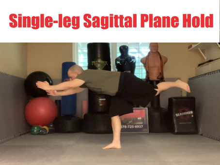 Exercise of the Week: Single-leg Sagittal Plane Hold