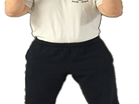Fighting Stances: The Foundation to Great Self-defense (video included)