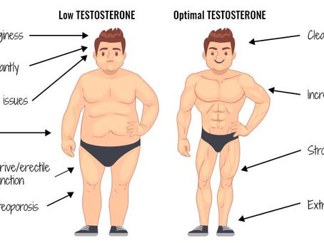A Guide for Men to Optimize Their Testosterone Naturally and Unlock Their Peak Performance