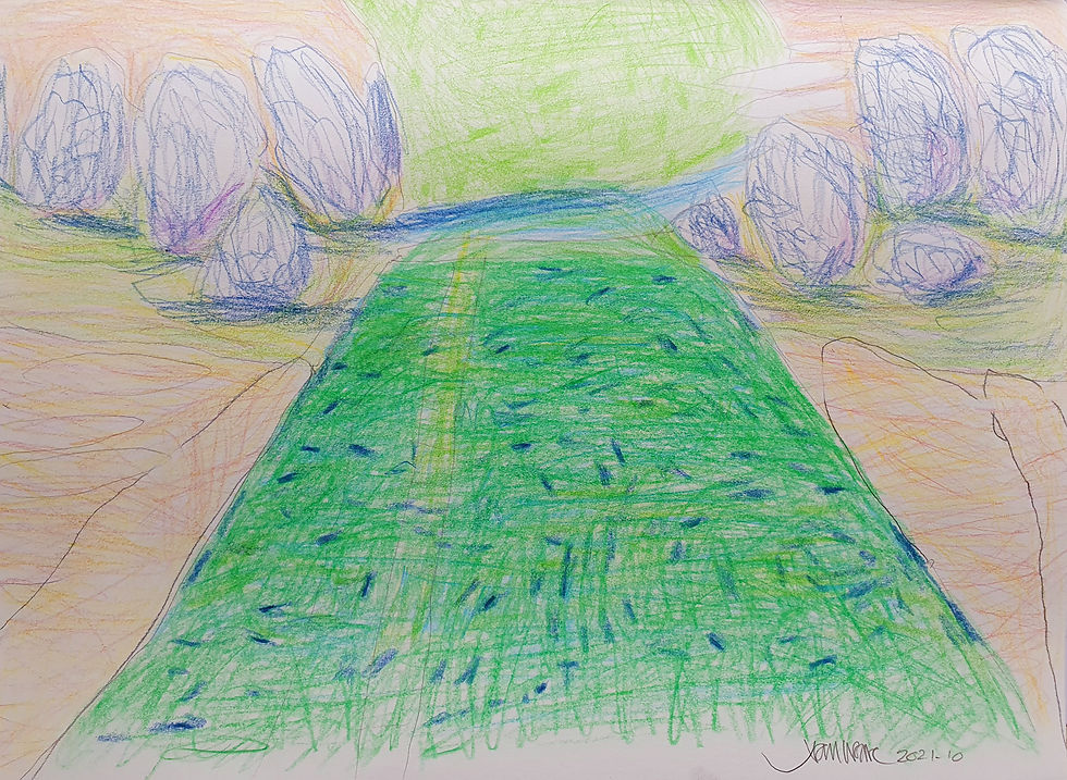 Forest Path 2022