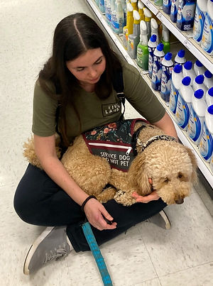 Service dog providing deep pressure