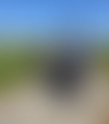 ドローン「自動航行」農薬散布！