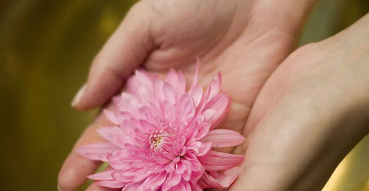 massage ijsselmuiden massage ijsselmuiden massage ijsselmuiden massage ijsselmuiden massage ijsselmuiden massage ijsselmuiden massage ijsselmuiden massage ijsselmuiden massage ijsselmuiden massage ijsselmuiden thaise yogamassage thaise massage ontspanning 