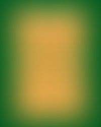 Sunrise to Sunset March Agenda