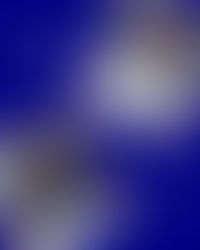 See: McGill's Awardees for September