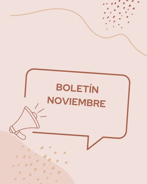 Boletín informativo de noviembre de 2025