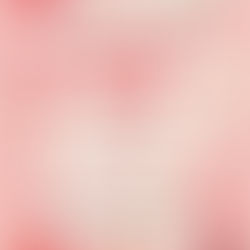 Miércoles 11 de febrero - Reunión de amistad de San Valentín de STS - 2 p.m.