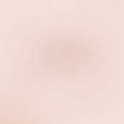 Newsletter for December 2025