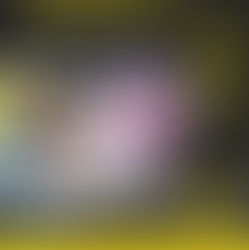 Tue Sep 22 - Picture Day!