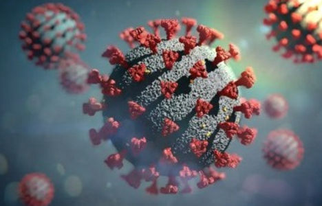 imagem ampliada do que seria o vírus do coronavirus 