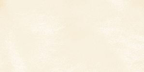 Fond beige.png