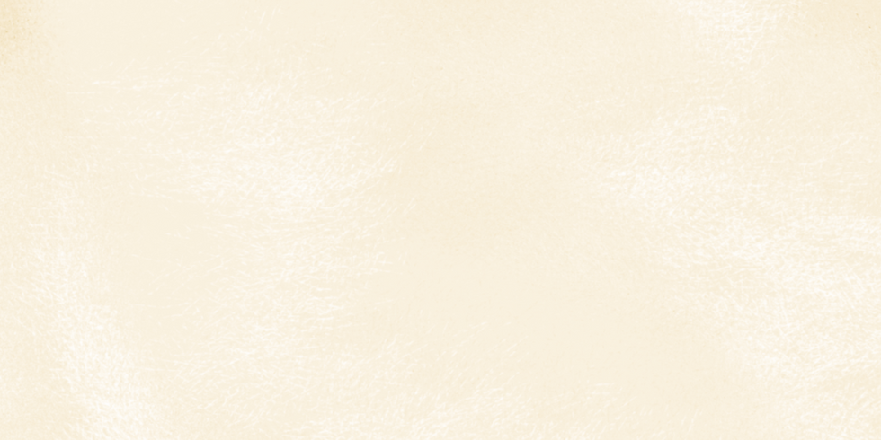Fond beige.png