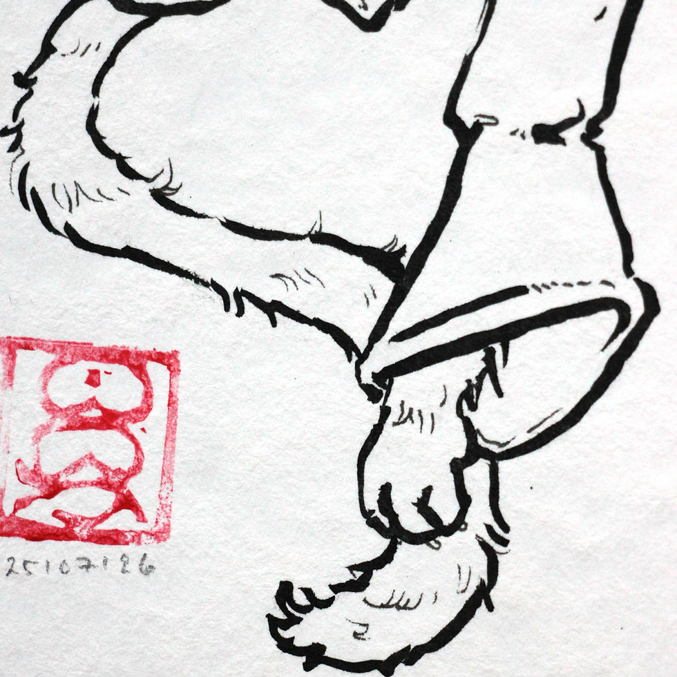 Thumbnail: Upside Down Cat - Fine Art Print