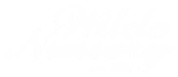 WildeNurseryLogo_edited.png