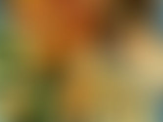 Tofu "Feta" Mediterranean Bowl