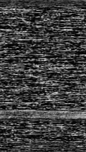 DSCF9937.jpg