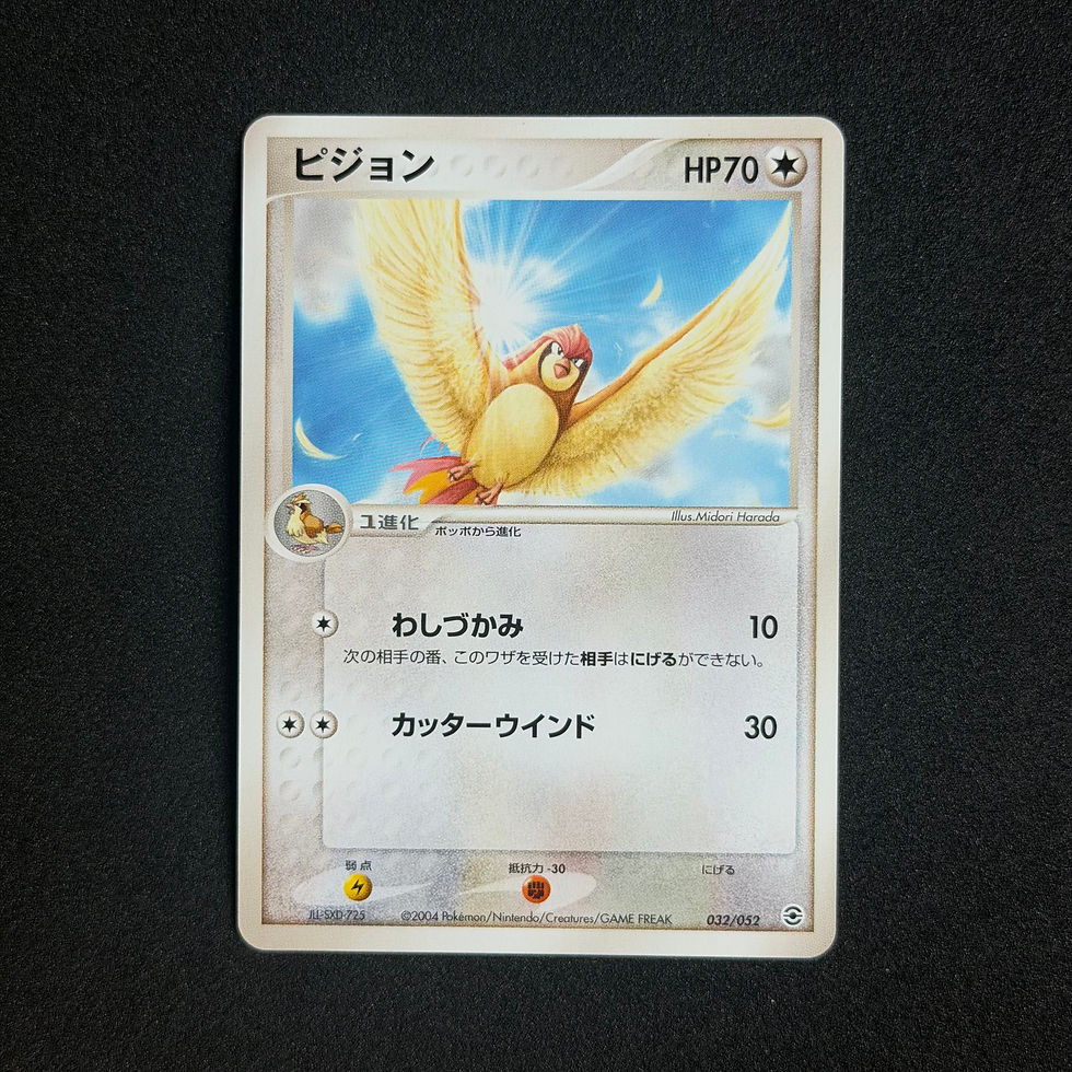 縮圖：比比鳥 PCG-RBD 2004