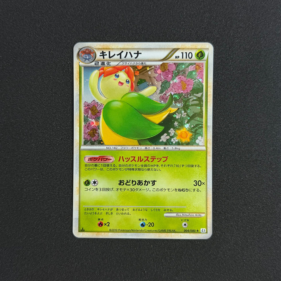 縮圖：★美麗花 1ST EDITION L2 2010