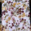 Thumbnail: Wildflowers