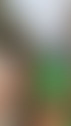 כיתה י״ב6 בפעילות התנדבותית באתר אפולוניה