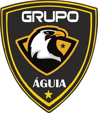 GRUPO AGUIA SEM FUNDO BRANCO.png