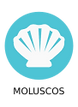 IconoAlergenoMoluscos-Mollusks_icon-icon