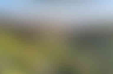 Shire Hill from Cemetery Road