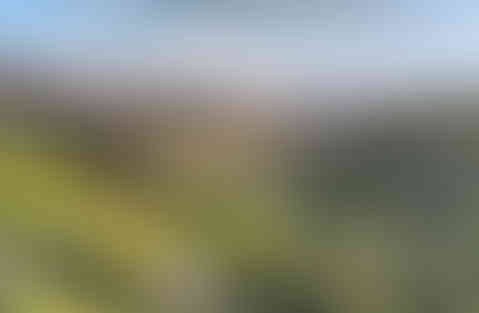 Shire Hill from Cemetery Road