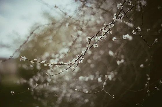 Timrill Prints Photography