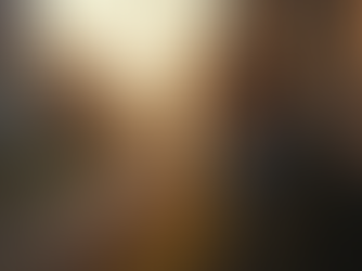 Essential Insights on Roof Repair Services in Royal Palm Beach by Anthony Conti