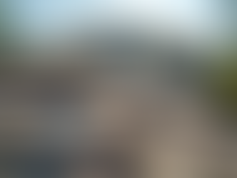 Essential Guide to Roof Repair Services in Wellington FL by Anthony Conti Roofing