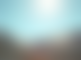 Expert Insights on Roofing Repair in Wellington by Anthony Conti Roof Repair