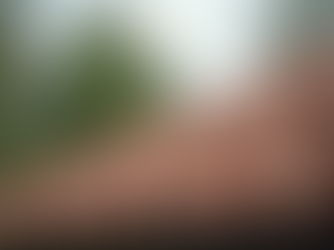 Expert Insights on Tile Roof Repair in Royal Palm Beach by Anthony Conti Roofing