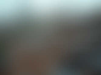 The Importance of Timely Roof Repairs for Your Home