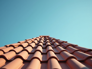 Essential Tips for Roof Repair in Wellington FL by Anthony Conti