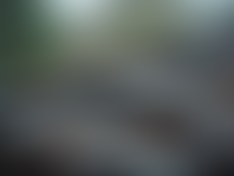 Quick Fixes for Emergency Roof Leak Repairs