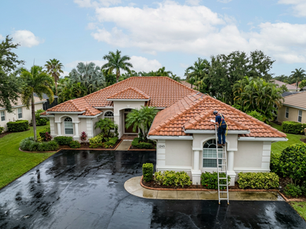 Anthony Conti Roofing Wellington FL Expert Roof Repairs Local Trust and Homeowner Tips