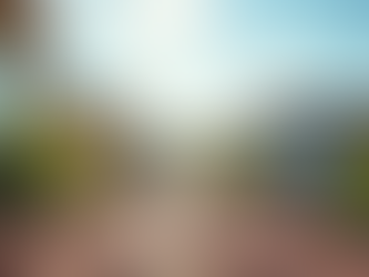 Is Your Roof in Trouble? Discover Anthony Conti's Top Tips for Roof Repair in Port Saint Lucie