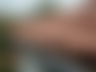 Roof Leak Repair 34986 by Anthony Conti Roofing