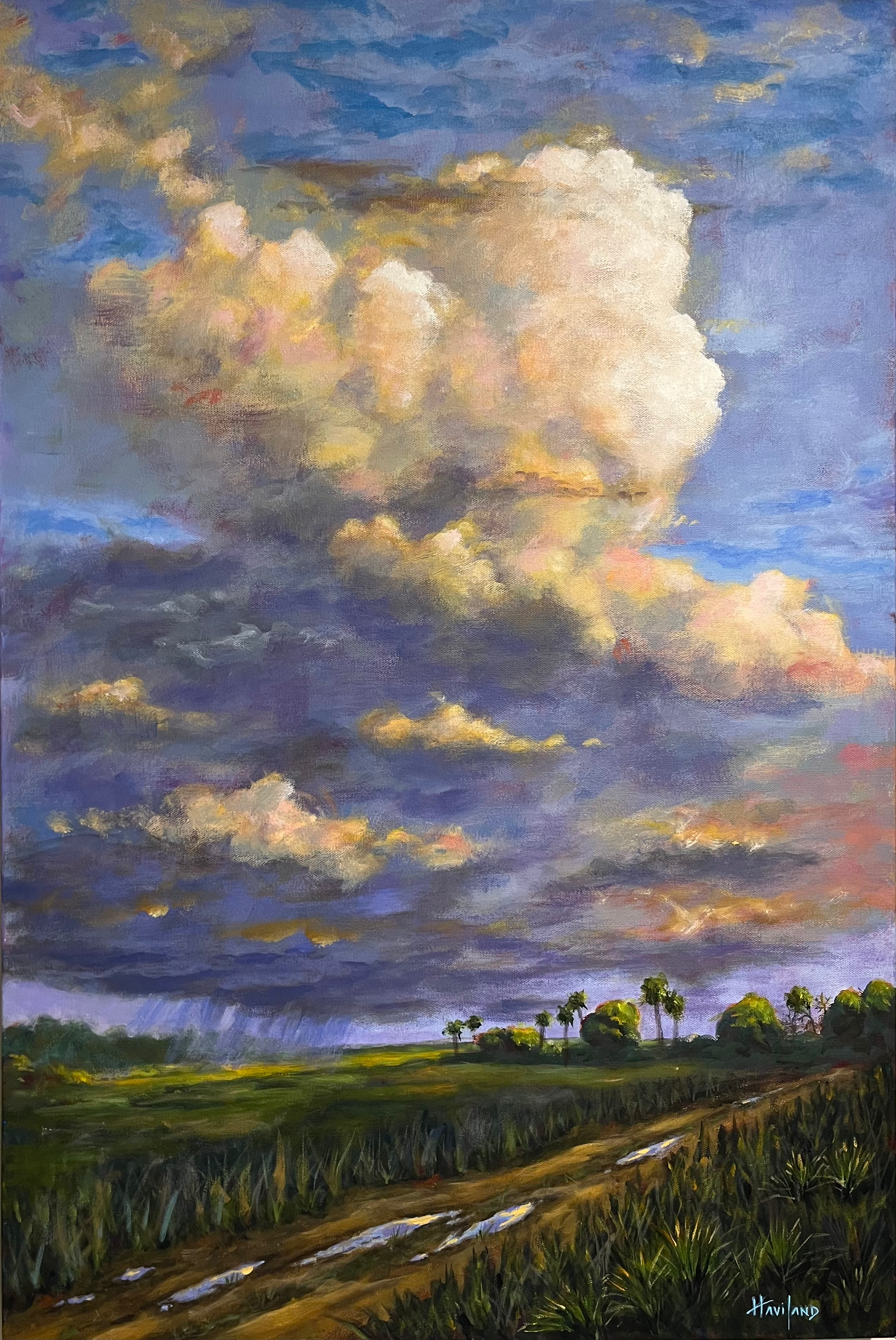 "Summer Rains"   24 x 36