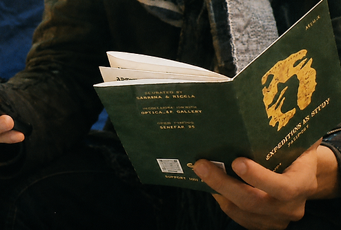 in situ passport.png