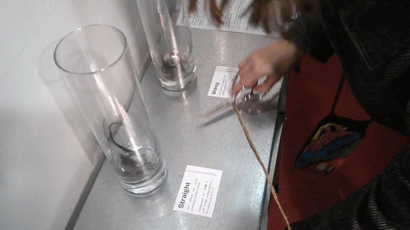 Fragmentofus-ezgif.com-video-to-gif-converter.gif